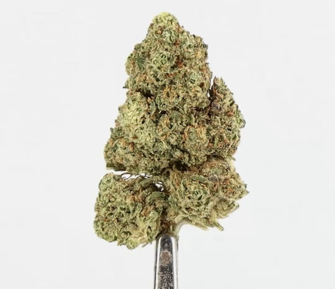 OG KUSH MEDIUM