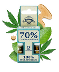 CARTOUCHES X2 CBD PEN STICK MENTHE 70%