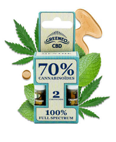 CARTOUCHES X2 CBD PEN STICK MENTHE 70%