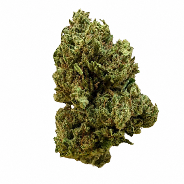 TROPICANA