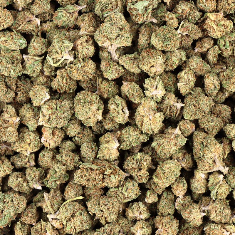 CALI SMALL