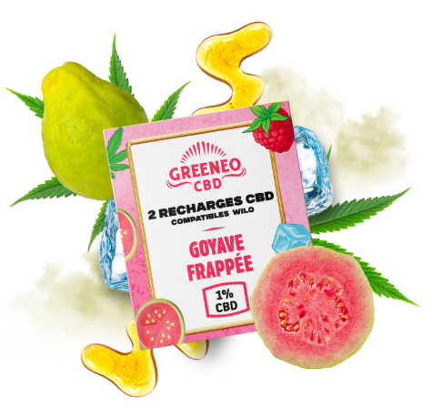 BOITE DE 2 CARTOUCHES GOYAVE FRAPPÉE (1%)