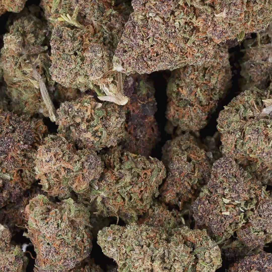 COOKIE Hydro