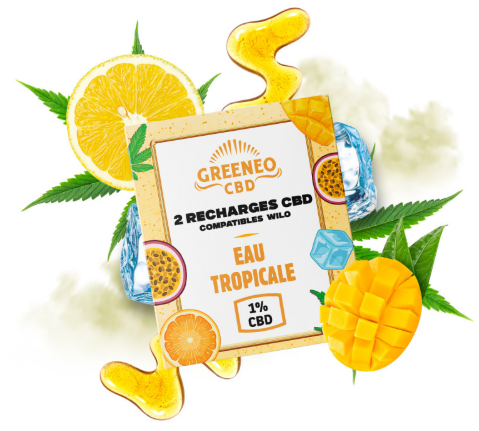 BOITE DE 2 CARTOUCHES EAU TROPICALE (1%)